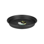 green basics saucer 10cm living black